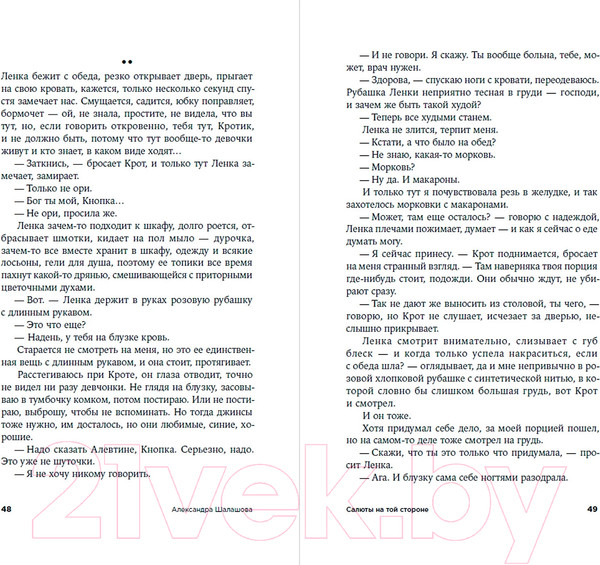 Изображение товара Книга Альпина Салюты на той стороне (Шалашова А.)