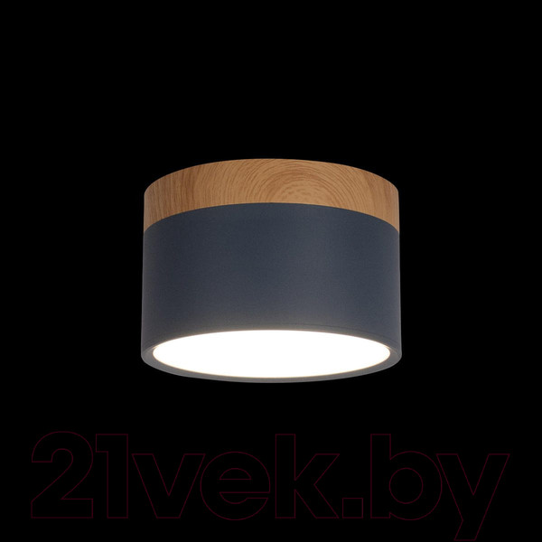 Изображение товара Точечный светильник Loftit Grape 10162 (синий)