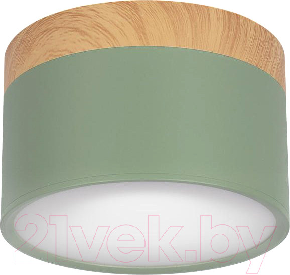 Изображение товара Точечный светильник Loftit Grape 10162 (зеленый)