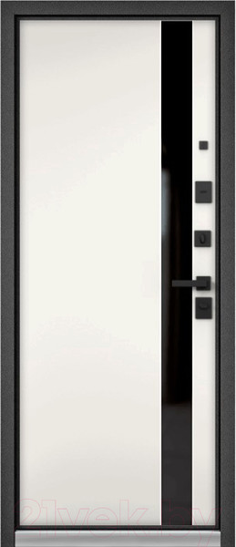 Изображение товара Входная дверь Mastino Trust Mass PP-14 (96x205, правая)