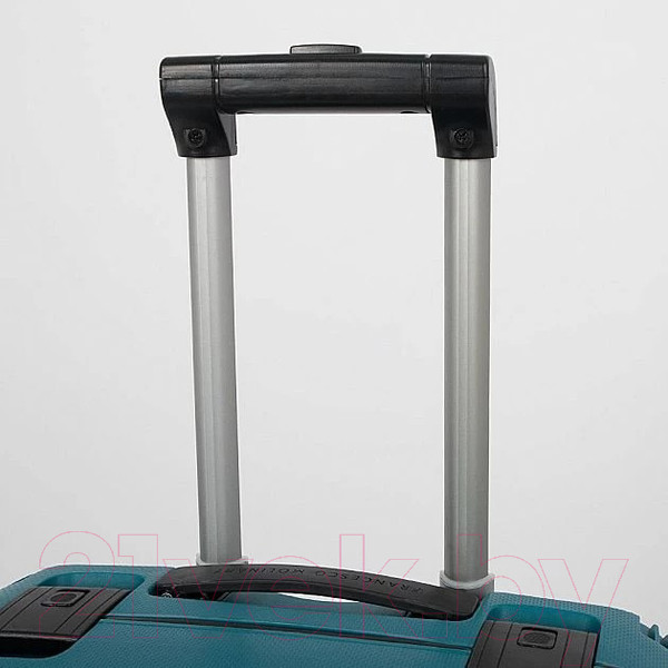 Изображение товара Чемодан на колесах Francesco Molinary 337-EL301/3-24NAV (синий)