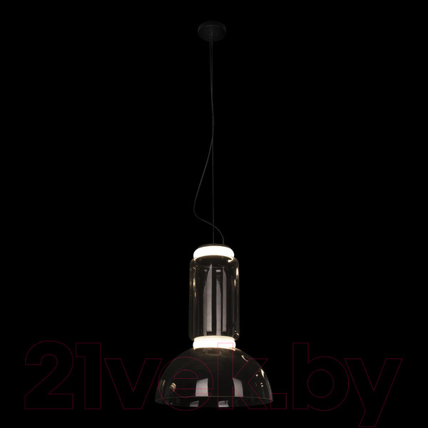 Изображение товара Потолочный светильник Loftit Noctambule 10192/S