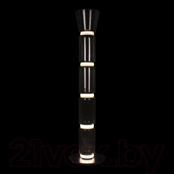 Изображение товара Торшер Loftit Noctambule 10193F/L