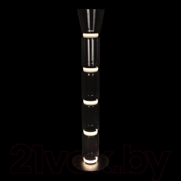 Изображение товара Торшер Loftit Noctambule 10193F/L