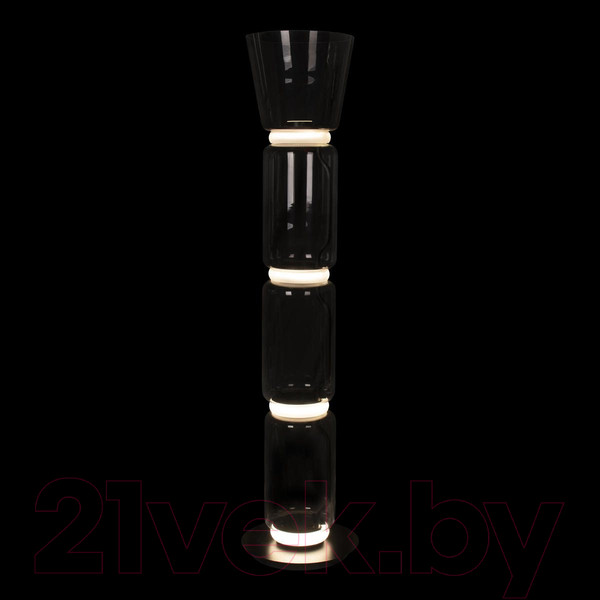 Изображение товара Торшер Loftit Noctambule 10193F/M