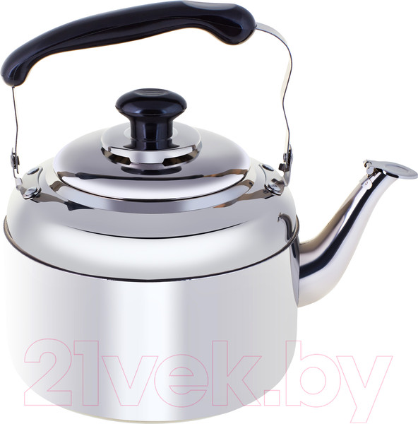Изображение товара Чайник Appetite RGS-KD5291