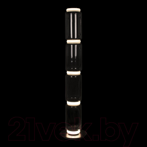 Изображение товара Торшер Loftit Noctambule 10194F/L