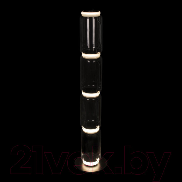 Изображение товара Торшер Loftit Noctambule 10194F/L