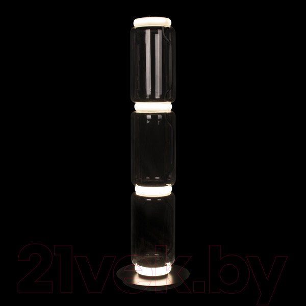 Изображение товара Торшер Loftit Noctambule 10194F/M