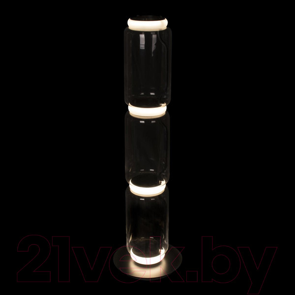 Изображение товара Торшер Loftit Noctambule 10194F/M