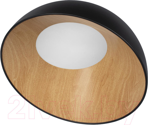 Изображение товара Потолочный светильник Loftit Egg 10197/500 (черный)