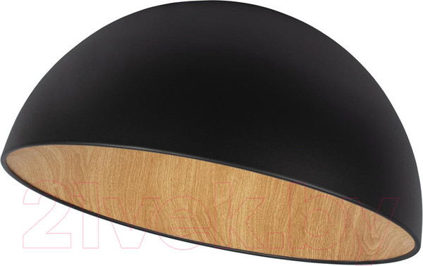 Изображение товара Потолочный светильник Loftit Egg 10197/500 (черный)