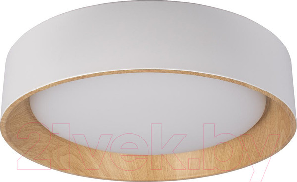 Изображение товара Потолочный светильник Loftit Coin 10202 (белый)