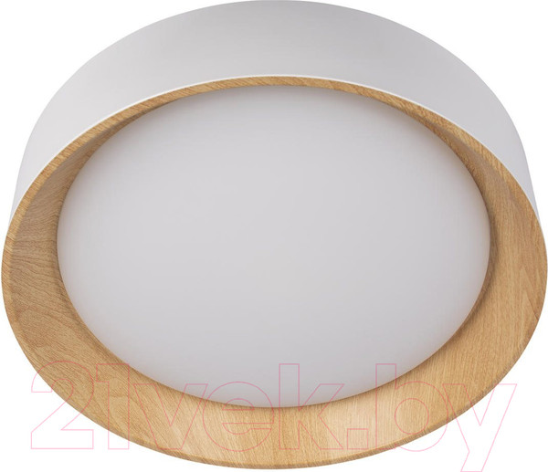 Изображение товара Потолочный светильник Loftit Coin 10202 (белый)