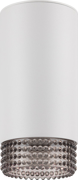 Изображение товара Спот ЭРА OL40 WH/GR / Б0058478