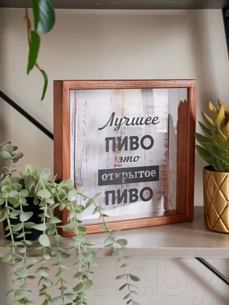 Изображение товара Копилка для пробок Richwood Лучшее пиво / beer2626-2g/brown (темный)