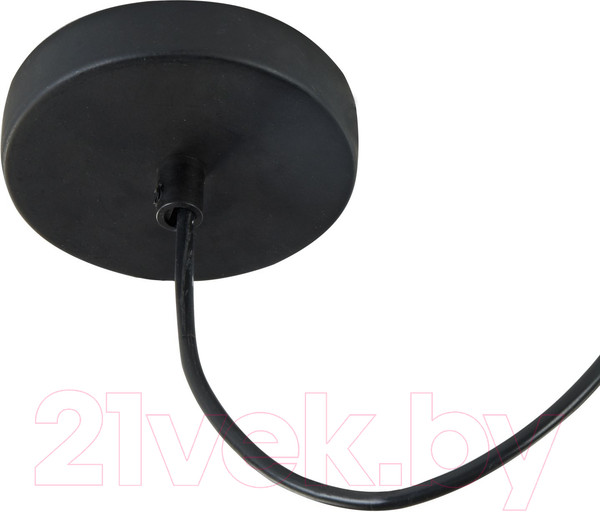 Изображение товара Потолочный светильник Maytoni Broni T439-PL-01-GR