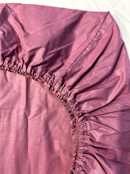 Изображение товара Простыня Царство сновидений Брусника 200x90x25 / 150-0023