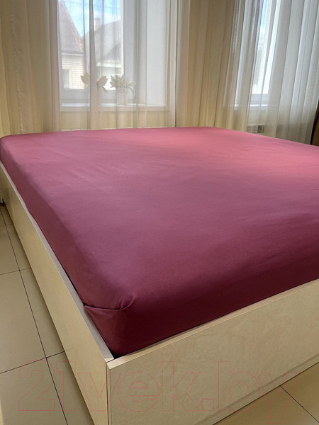 Изображение товара Простыня Царство сновидений Брусника 200x90x25 / 150-0023