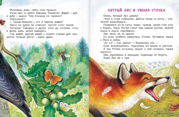 Изображение товара Книга АСТ Чей нос лучше? Сказки (Бианки В.В.)