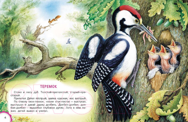 Изображение товара Книга АСТ Чей нос лучше? Сказки (Бианки В.В.)