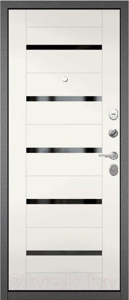 Изображение товара Входная дверь Mastino Family Eco МP-19 (86x205, правая)