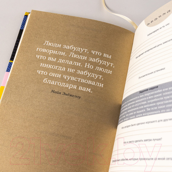 Изображение товара Мотивационный ежедневник Альпина 6 минут Pure. Ежедневник, который изменит вашу жизнь (9785961483857 / Спенст Д.)