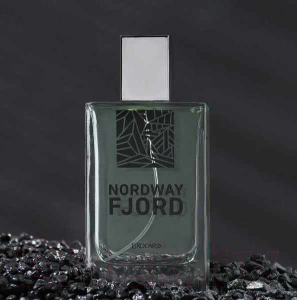 Изображение товара Туалетная вода Brocard Nordway Fjord (100мл)
