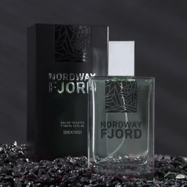 Изображение товара Туалетная вода Brocard Nordway Fjord (100мл)