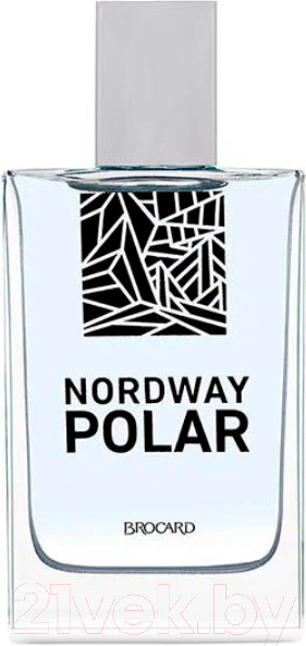 Изображение товара Туалетная вода Brocard Nordway Polar (100мл)