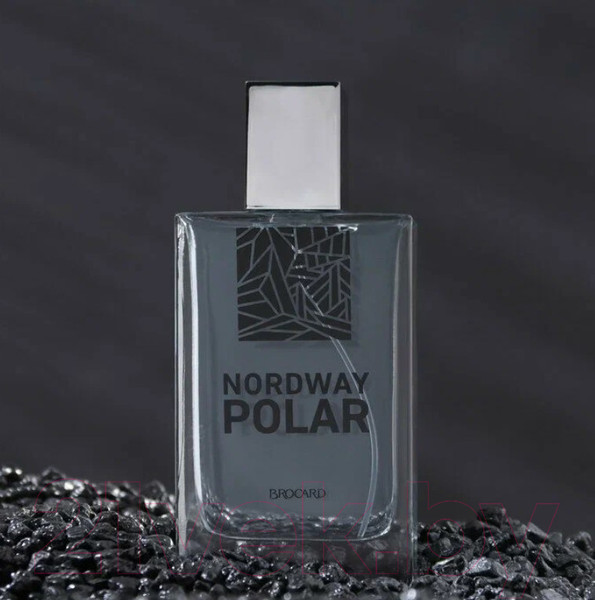 Изображение товара Туалетная вода Brocard Nordway Polar (100мл)