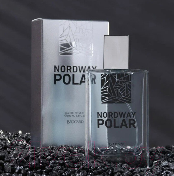 Изображение товара Туалетная вода Brocard Nordway Polar (100мл)