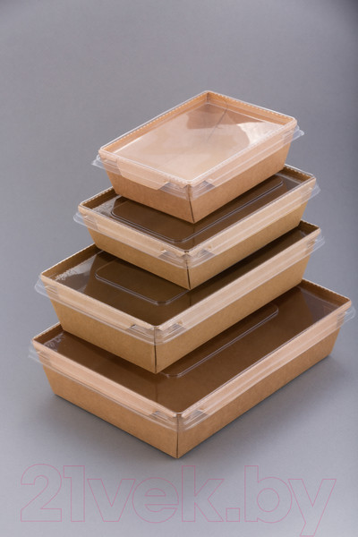 Изображение товара Набор одноразовых контейнеров Paperko С пластиковой крышкой конт500К (50шт)