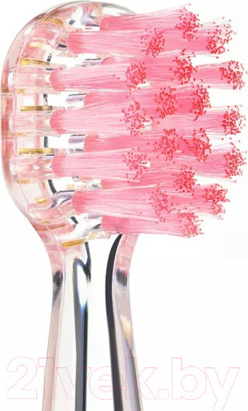 Изображение товара Набор насадок для зубной щетки Revyline RL 025 / 6171 (2шт, розовый)