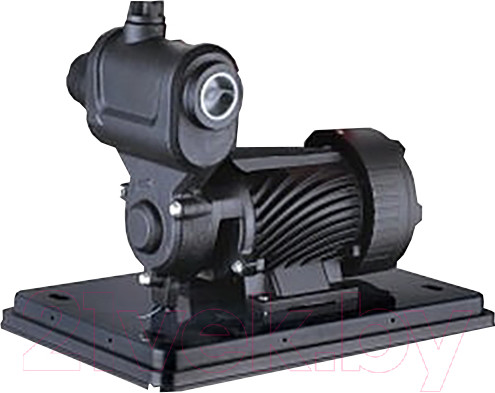 Изображение товара Насосная станция Pumpman TGP550N