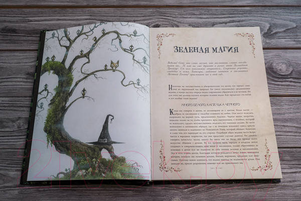 Изображение товара Книга АСТ Секреты колдовских растений (Эли Р.)