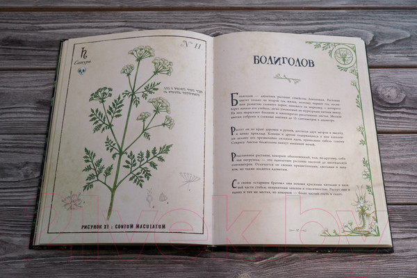 Изображение товара Книга АСТ Секреты колдовских растений (Эли Р.)