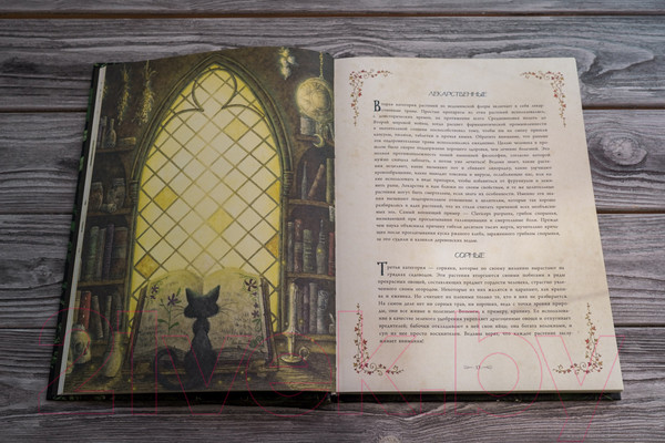 Изображение товара Книга АСТ Секреты колдовских растений (Эли Р.)