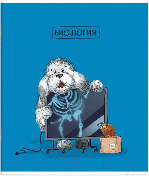 Изображение товара Набор предметных тетрадей Феникс+ Пес ученый / 63646