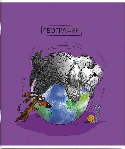 Изображение товара Набор предметных тетрадей Феникс+ Пес ученый / 63646