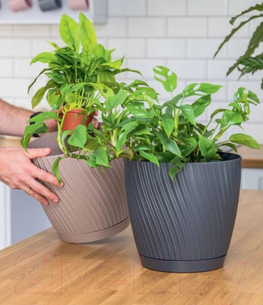 Изображение товара Кашпо Formplastic Mika Eco FP-4580 (антрацит)