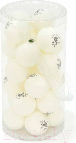 Изображение товара Набор мячей для настольного тенниса Giant Dragon Training Silver 1 New / 51.683.31.5 (24шт, белый)