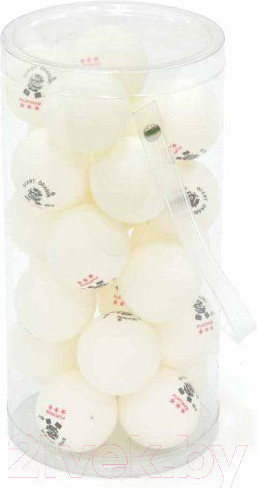 Изображение товара Набор мячей для настольного тенниса Giant Dragon Training Platinum 3 New / 51.683.33.5 (24шт, белый)