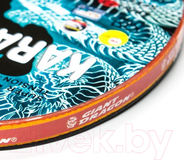 Изображение товара Ракетка для настольного тенниса Giant Dragon Karate 4 Start New / 51.624.03.3