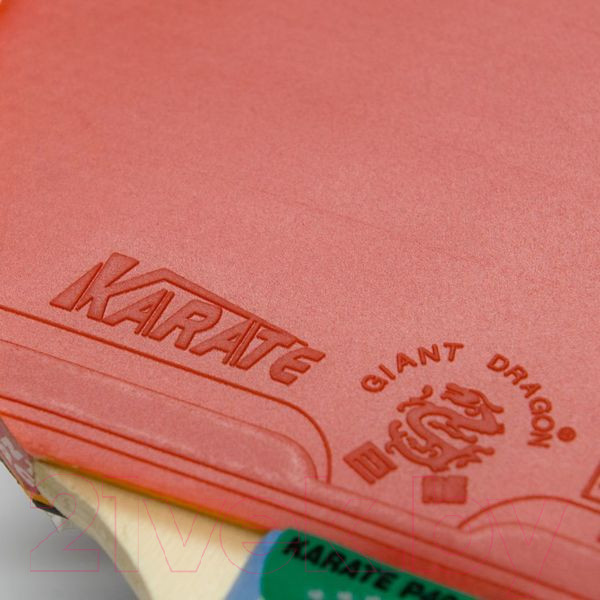 Изображение товара Ракетка для настольного тенниса Giant Dragon Karate 4 Start New / 51.624.03.3