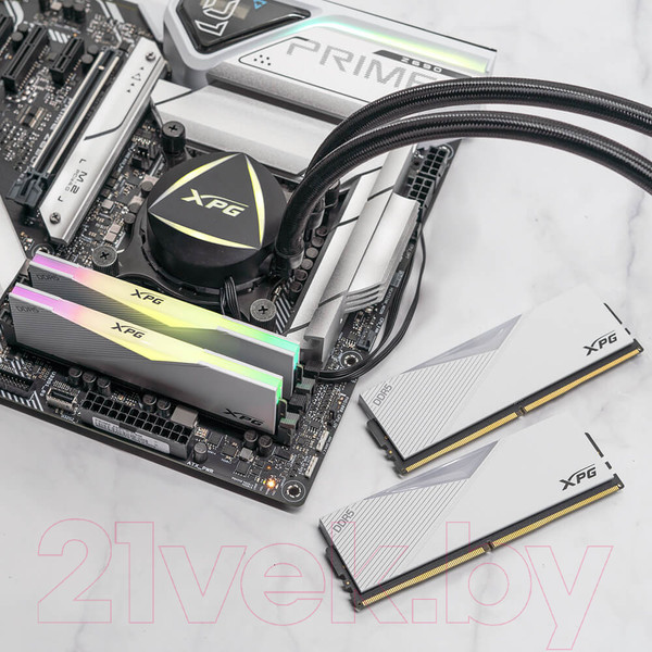 Изображение товара Оперативная память DDR5 A-data AX5U6400C3216G-DCLARWH