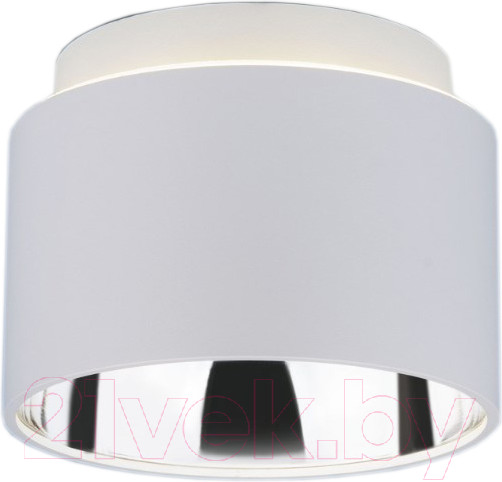 Изображение товара Точечный светильник Elektrostandard 1069 GX53 WH