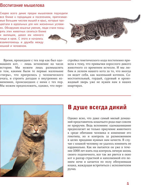 Изображение товара Энциклопедия АСТ Кошки. Лучший иллюстрированный гид (Непомнящий Н.Н.)