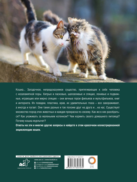 Изображение товара Энциклопедия АСТ Кошки. Лучший иллюстрированный гид (Непомнящий Н.Н.)