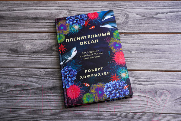 Изображение товара Книга АСТ Пленительный океан (Хофрихтер Р.)